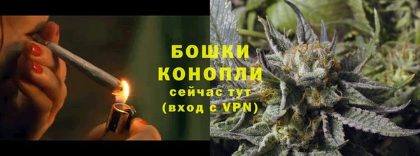 метадон Вяземский