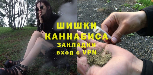 метадон Вяземский