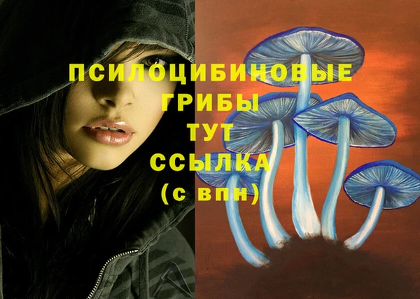 ПСИЛОЦИБИНОВЫЕ ГРИБЫ Володарск