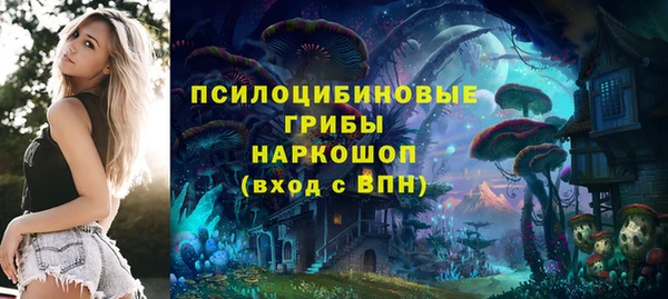 ПСИЛОЦИБИНОВЫЕ ГРИБЫ Володарск
