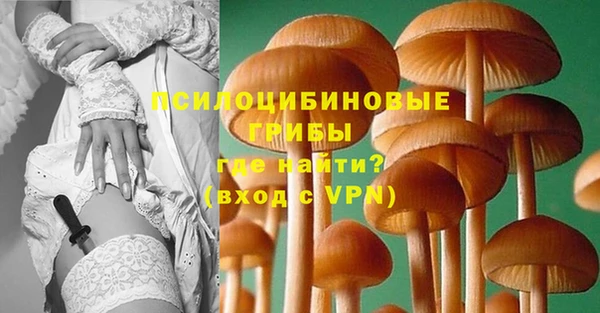 хмурый Вязьма