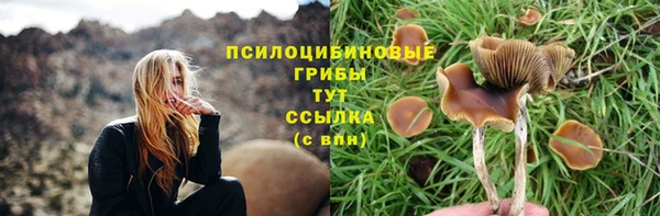 метадон Вяземский